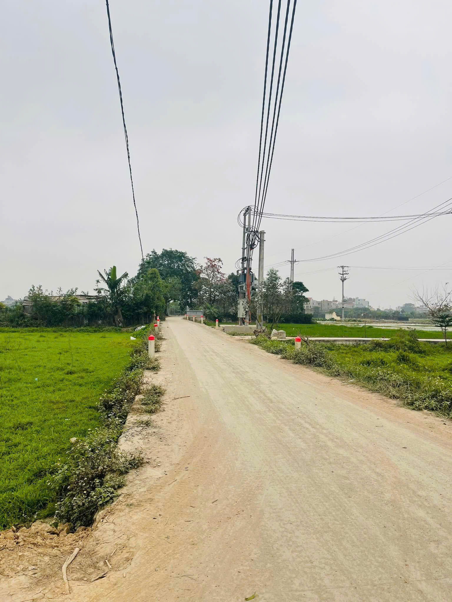 Bán đất Thường Tín, đường ô tô MT15m, DT nhỉnh 690m2, 8 triệu/m2. - Ảnh chính